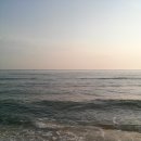 아침의 바다 이미지