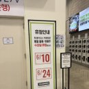 위례대로 | 트레이더스 위례점 6월 장보기 후기! 할인템 &amp; 추천템 총정리