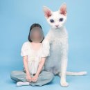 [대전 반려동물 사진관] 모코모코 스튜디오:: 특별한 반려동물 사진스튜디오(내돈내산, 솔직후기)
