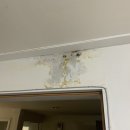 대우목화아파트(4차) 이미지