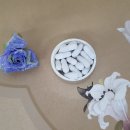 미래웰생활건강 이미지