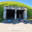 ♥함께 떠나자 교과서 속 그림책 여행 (초3~4)♥ | 초등 4학년 교과서 연계 체험학습, 경주 대릉원 천마총 역사 여행 후기