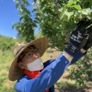 하동군농업기술센터 이미지