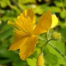 당림미술관 이미지