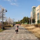 운정체육공원 축구장 이미지