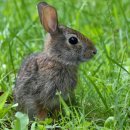 점프코리아 이미지