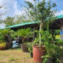 번영로농장 이미지