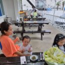 청호민박 이미지