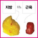 바디플렉스&PT 이미지