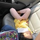 밀양스쿨오토캠핑장 이미지