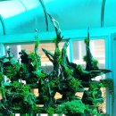 정성가득 이미지