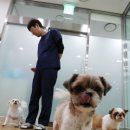 이천동물복지센터 이미지