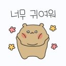 펫소울메이트 이미지