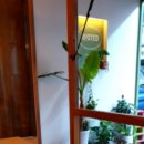 루티드(Rooted) 이미지