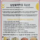 담양꽃차마을 영농조합법인 | 담양 꽃차마을에서 삶은죽순과 메리골드차 판매