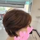 준헤어랭귀지 네이버블로그