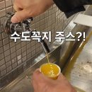 1970 | 마쓰야마 도고온천 이색 체험 | 수도꼭지에서 귤주스?! 에히메 식탁 1970 후기