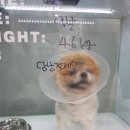 유동물의료센터 이미지