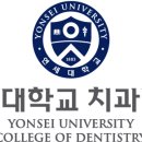 E-DENTAL 이미지