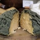 브레인치즈