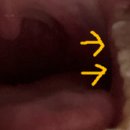 친친 노래연습장 이미지