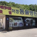 어정동물병원 이미지