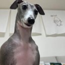 크리스마스약국 이미지