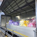 위례송하유치원 이미지