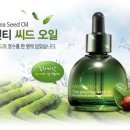 씨드스토리 이미지