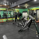 서정피트니스 | 중계동헬스장 서정피트니스 리뷰