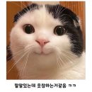 은하수다방 이미지