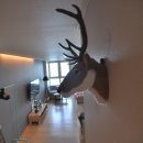 한일다방 이미지