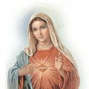 “하늘의 여왕이신 성모 마리아” 이미지