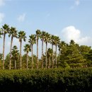 호텔네이버후드제주 이미지