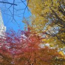 큰나무공인중개사사무소 이미지