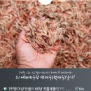 소래포구직판 이미지