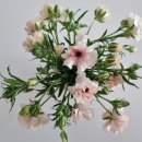 소생로컬푸드 이미지