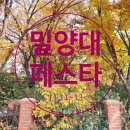 KT밀양지사 | 제2회 밀양대페스타, 옛 밀양대엔 지금 멋진 단풍과 공연 체험 축제가 한가득 (feat.클루씨)