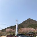 라일락목장 이미지