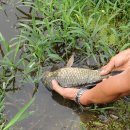 물나들이 이미지