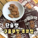 쿠움 | [단슐랭] 구움쿠킷 초코칩 단백질과자 아이들 간식으로 딱 좋은 단백질간식,단슐랭 쿠움쿠킷 후기