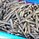 바다의 만찬 이미지