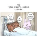 더위시컴퍼니 | '26.7 위시리스트(해칭룸x마스컴퍼니, 유연랩, 팔라스, 이티씨이, 오클리)