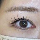 106lash | 속눈썹 길어지는 '낙타영양제' 사용후기