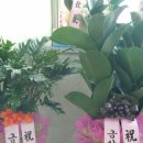 건강나눔사회적협동조합금산지사 Daum카페