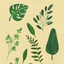 수채화와 드로잉 이미지