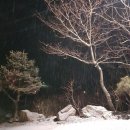 자연사랑펜션 이미지