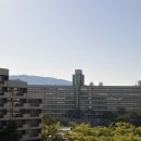 중기 효자숲 | 9개월 아기랑 경주 여행 2, 켄싱턴 팜 빌리지, 경북천년숲정원, 대구 신세계 얌이밀 이유식