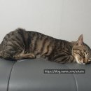 예산 위드엔젤 이미지