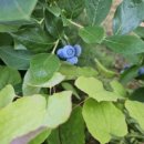 우석농장 이미지